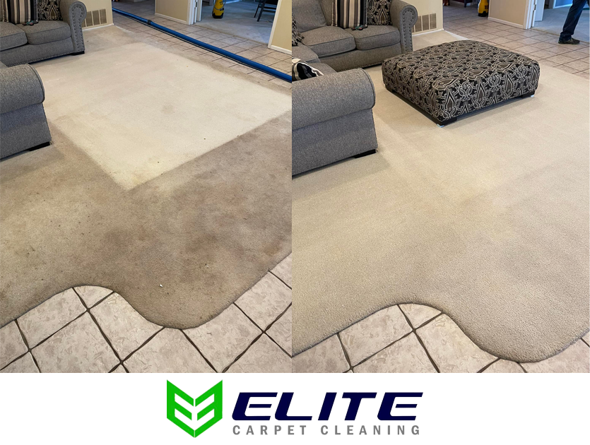 Before and after carpet cleaner midland tx